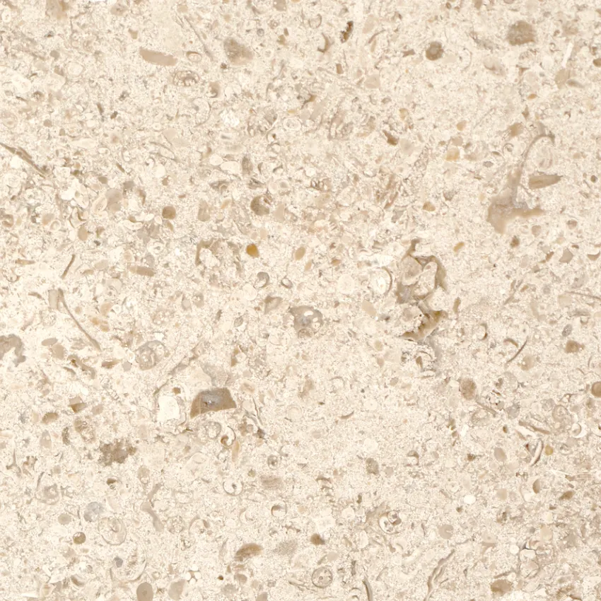 Pedra Cabeca Veada CV4